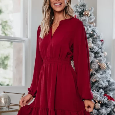 Office Party Burgundy Mini Dress